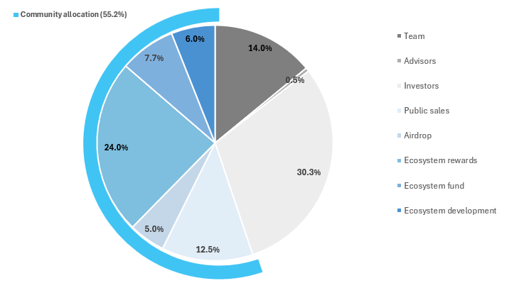 Token allocation breakdown